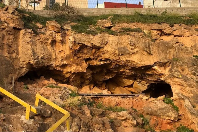 ماذا تكشف مكتشفات الدار البيضاء عن بدايات الإنسان في إفريقيا؟